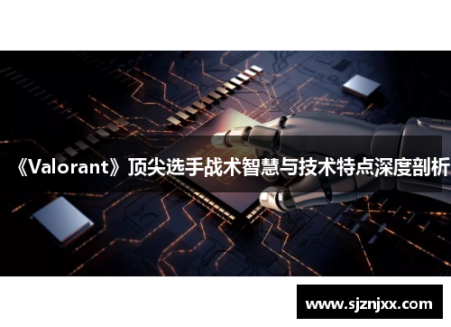 《Valorant》顶尖选手战术智慧与技术特点深度剖析